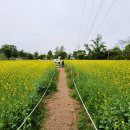 청주목장 이미지