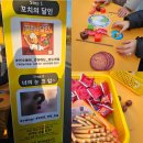 WKBL 24-25시즌 직관 후기 I KB스타즈 vs 신한은행 에스버드 [250208]