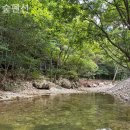 느티골길 이미지