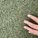 황산공원 축구장 이미지