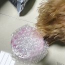 세상에 단 하나뿐인 수제 간식 강아지 생일케이크 후기