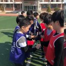 청도태권도 이미지