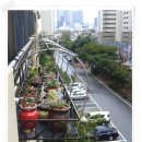 미니하우스 이미지