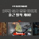 돌미나리칼국수 이미지