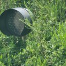 망객정(신평) 이미지