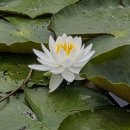 운산지 이미지