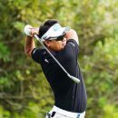 골프 프로들도 드라이빙 아이언을 많이 사용하죠 이미지