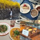 올(all)떡볶이 | 서울 가볼만한곳 추천 아차산 떡볶이 응봉산 개나리축제 성수 맛집 카페 서울숲 데이트 코스