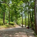 비채야영장 이미지