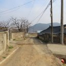 검단1리 이미지