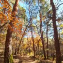 노스페이스 태백점 | 태백 여행 추천 힐링로드ON 태백 웰니스 걷기투어로 나만의 속도를 경험해보세요!