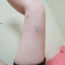 포레스트폴댄스사가정점 이미지