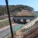 구룡달전로 이미지