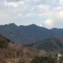 구구리 Daum카페