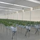 선정농장 이미지