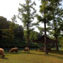 인천목장 이미지