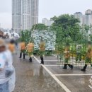 삼호현대장식