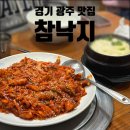 낙지만두랑 쭈꾸미만두 | [경기 광주/초월 맛집] 매콤하고 오동통한 낙지볶음의 진수! 주차 편한 '참낙지' 내돈내산 찐 후기