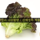 골든네이쳐푸드 이미지