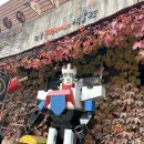 추억팔이(82) | 반차내고 파주 나들이-파주 헤이리마을, 뼈칼국수, 노을 맛집, 바베큐장 훅2
