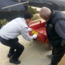 진악지구대 이미지