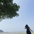 윤진서 카카오 검색결과