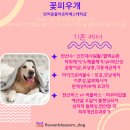 꽃피우개 이미지