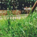 홍연자명품김밥 정관직영점 | <정관맛집/홍연자명품김밥> 비오는 날 딸과 데이트^^