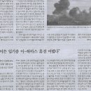 삐삐나라
