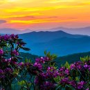 "Remembering August" Beautiful Relaxing Music, Peaceful Soothing Instrument 이미지