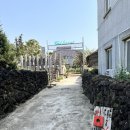 제주 서귀포 카페 추천 대정읍 박한별 카페 벨진밧
