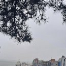 선창회포차