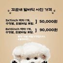 316사진관
