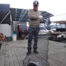 매일좌대 이미지