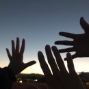 핑크뮬리 이미지