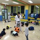 용인대 I 태권도장 이미지