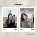 보아스미용실 | [서울 / 수유역 미용실] 중단발 거지존에서 중단발 굵은 히피 후기 “수와르헤어”
