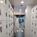 화이트펜슬제주