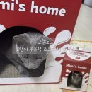 그램도그 | [고양이용품] 그램도그 고양이 우유팩 스크래처 하우스 후기