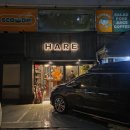 하레이자카야 | 교대 술집 이자카야 하레 내돈내산 후기