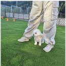 더블루네스 이미지