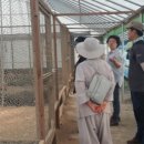 옥봉농장 이미지