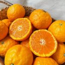 (주)네오게임즈 이미지