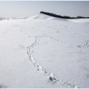 둥지농장2 이미지