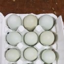 청계3로 이미지