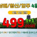 한솔여행사 네이버블로그