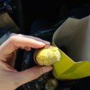 대송상회 이미지