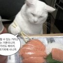 더블마트 네이버블로그