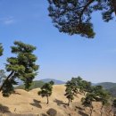 왕능휴게소 네이버블로그