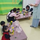 보미나어린이집 네이버블로그